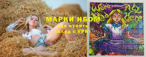 PSILOCYBIN Бугульма