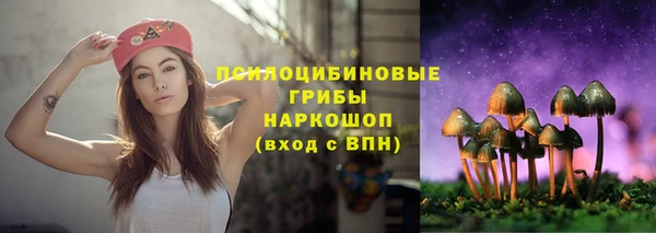 герыч Бородино