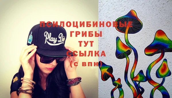 герыч Бородино