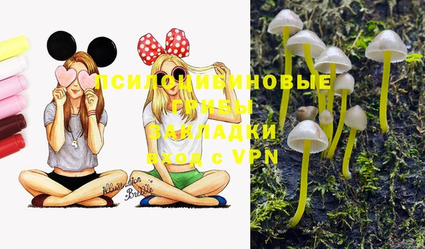 синтетический гашиш Верхний Тагил