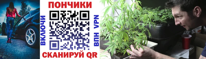 Купить  Спасск-Дальний  Марихуана сатива 
